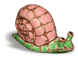 Насекомые и улитки