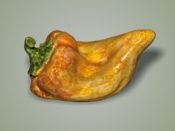 Нажмите для увеличения